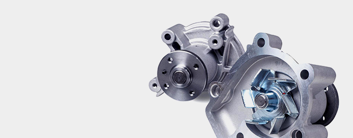 pro6_690x270.jpg
